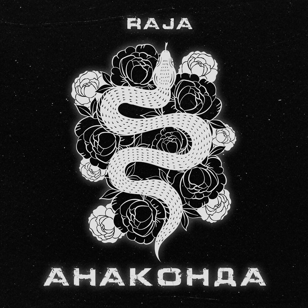 RAJA- Анаконда
